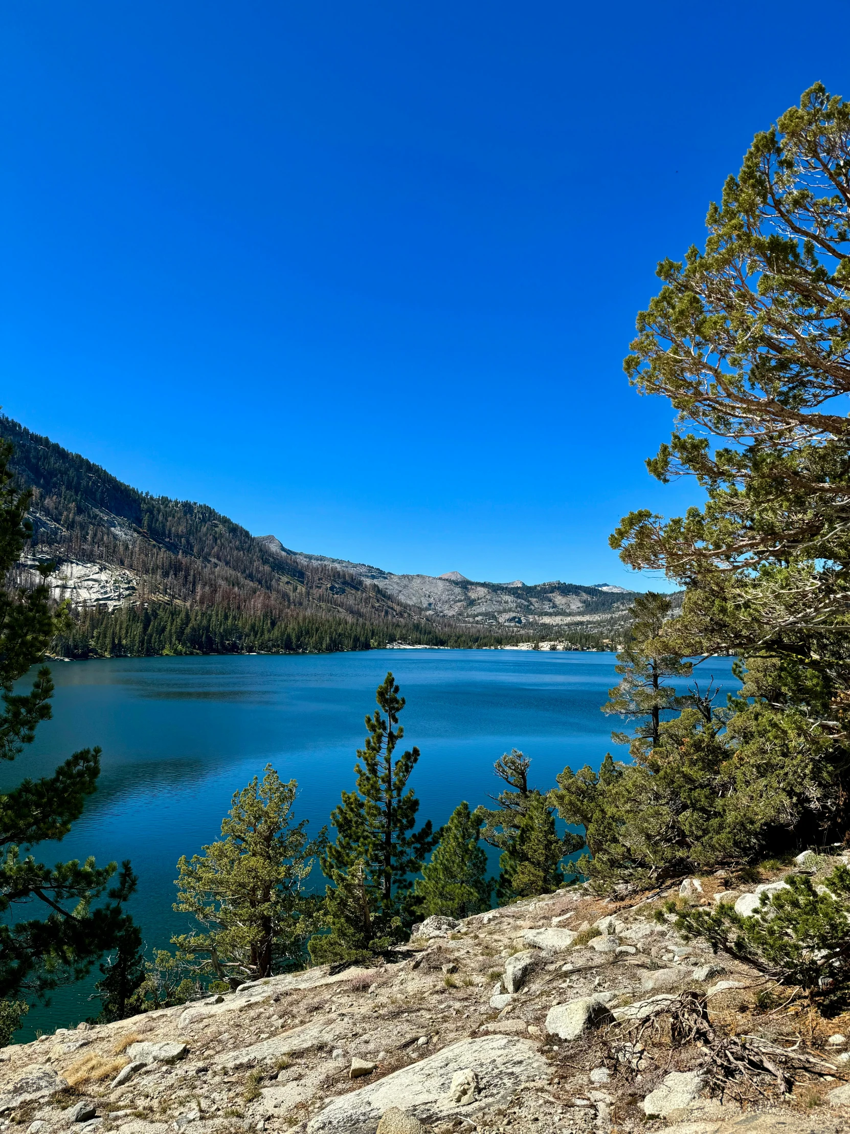 the blue waters and pine trees are at the edge of the rocky cliff