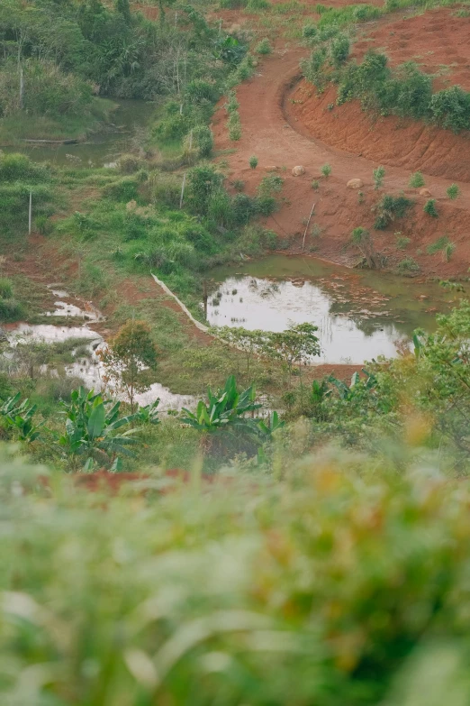 an open field with a dirt pathway winding up hill