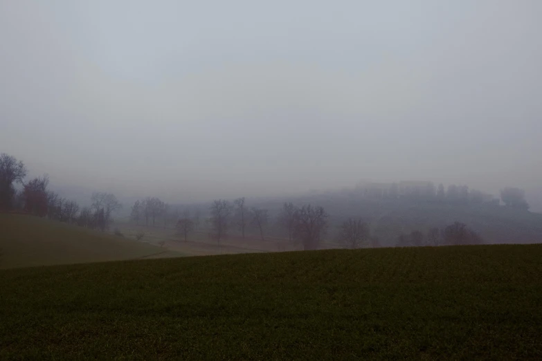 the lone horse is in the foggy field by itself