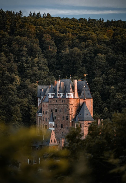 an old building standing in front of a forest