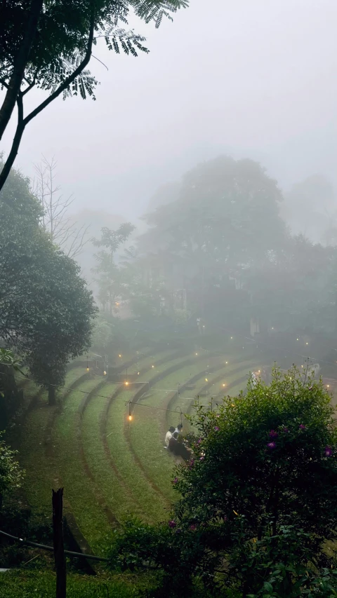 a lush green field covered in fog and lit up with lights