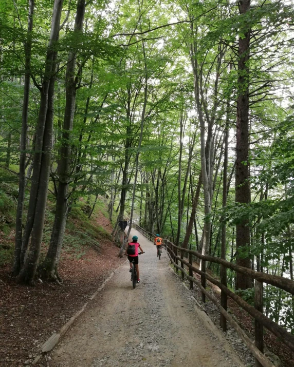 a person riding a bike down a small road