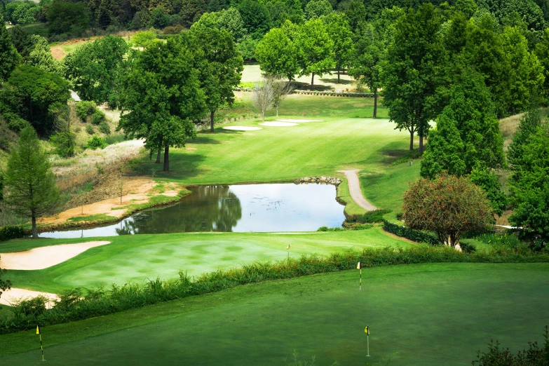 a golf course surrounded by trees and water