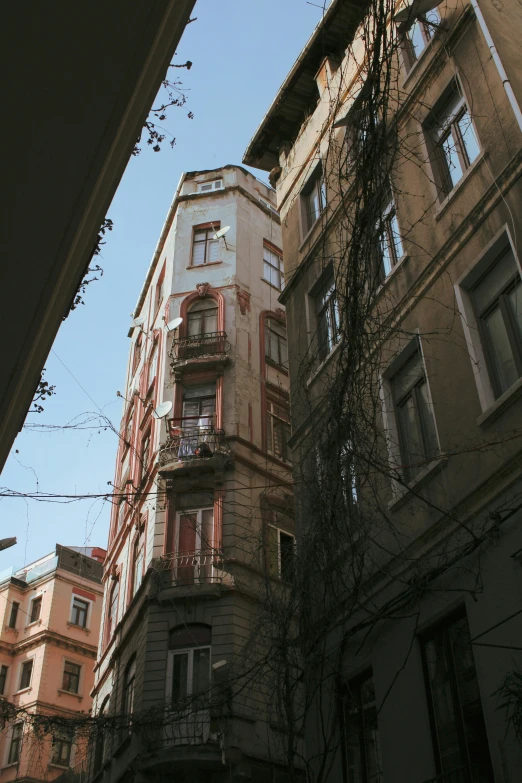 a tall building has many windows and vines on it