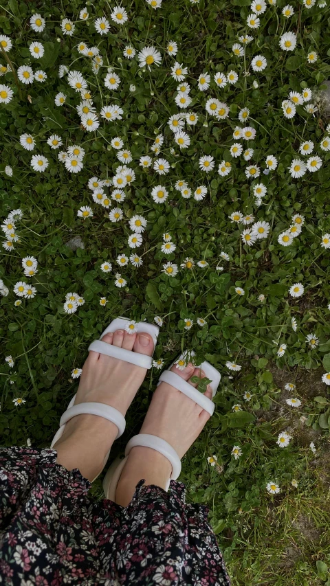 the back of a pair of feet in a field of flowers
