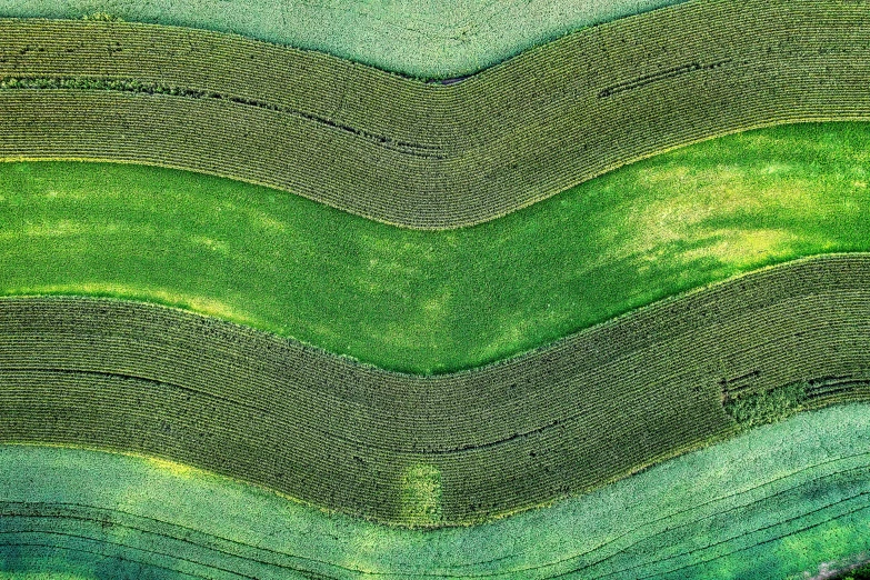 a pattern of wavy blue, green and black