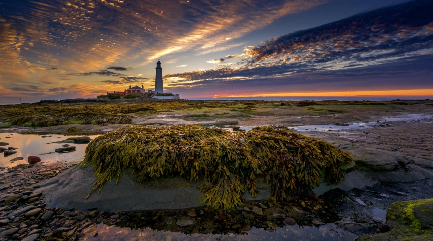 the sunset with clouds over a lighthouse and a grass covered shore