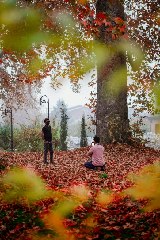 people in the middle of an area with leaves on it