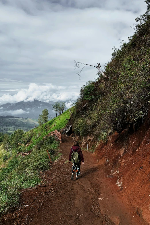 the cyclist is riding down the dirt trail