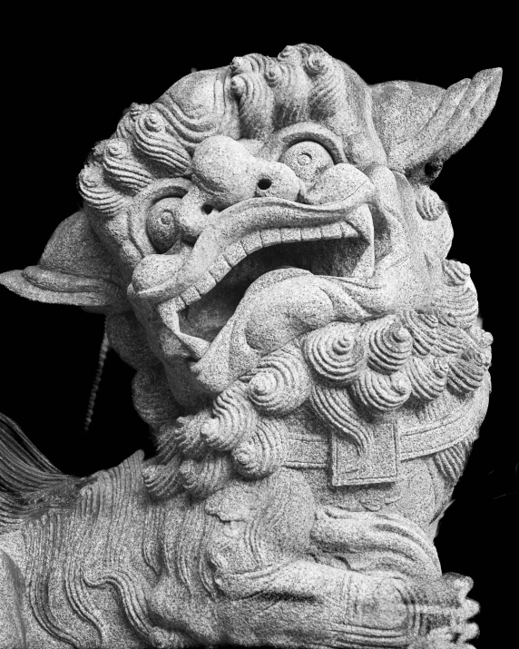 an intricate carving design on a chinese lion