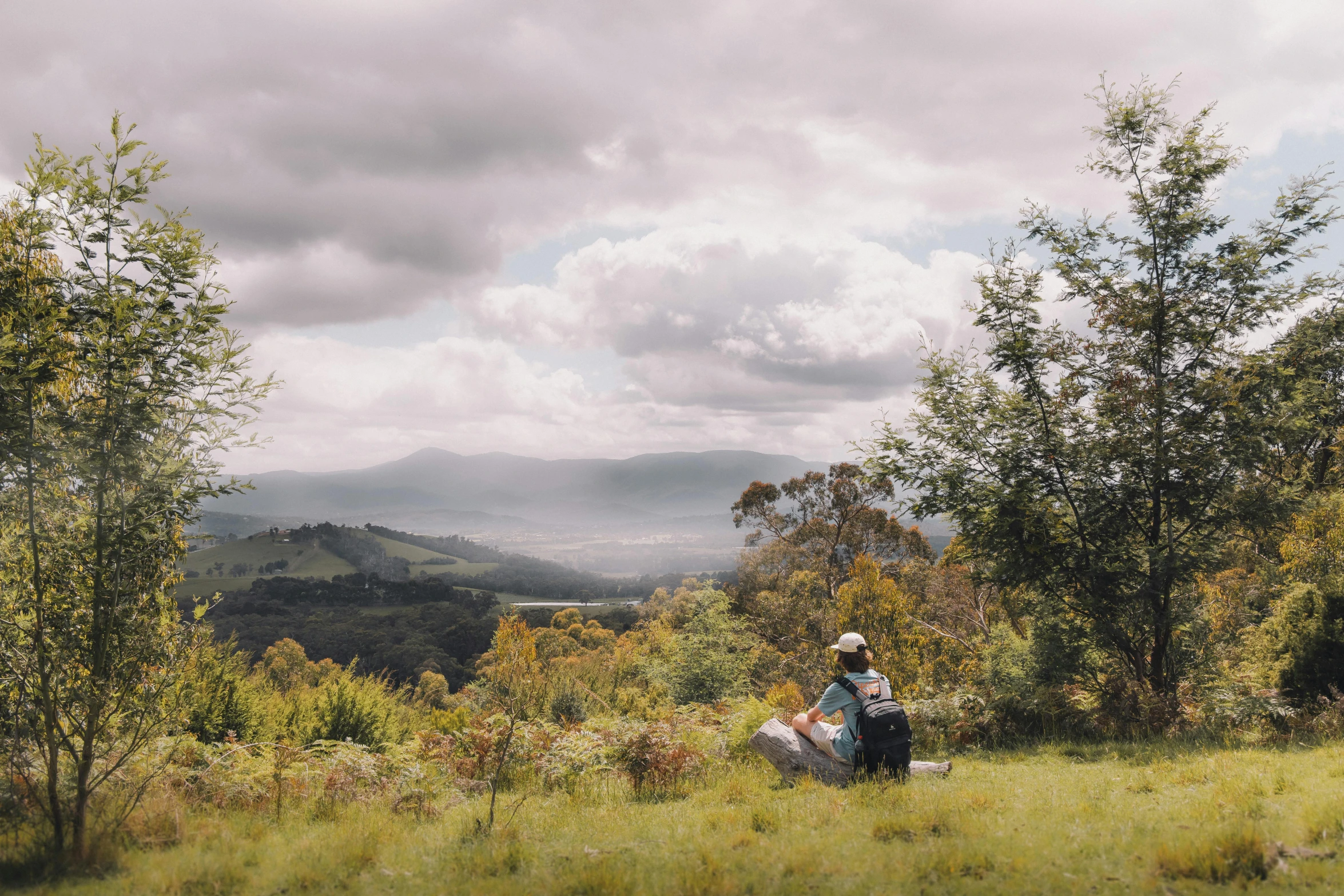 some people standing in the grass with trees and clouds