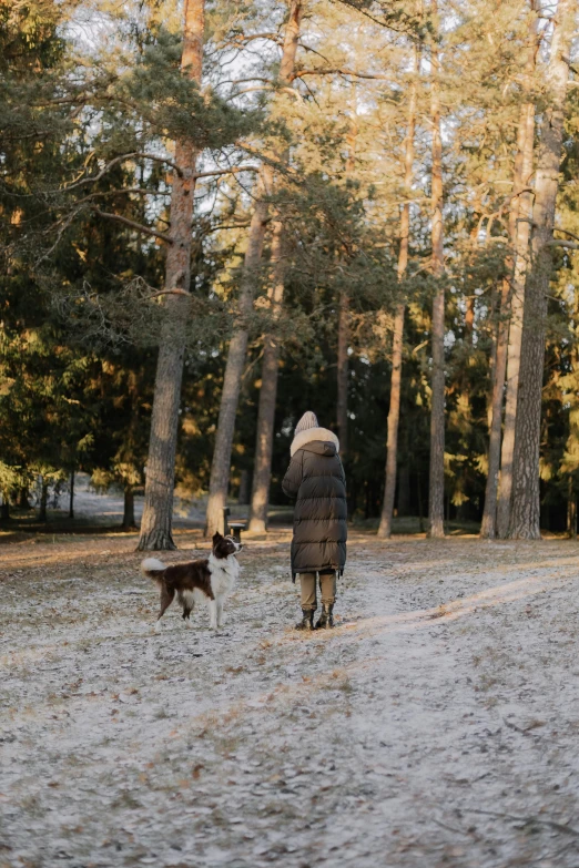 person walking with dog in snow covered area