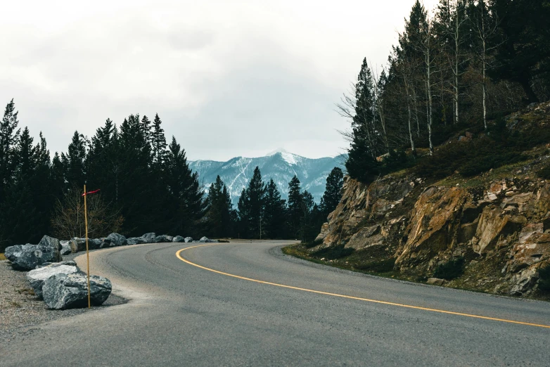 a road with lots of stones leading up to some trees