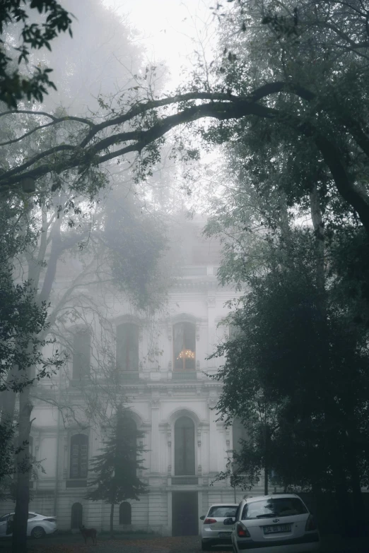 a white house sitting through a foggy tree filled forest