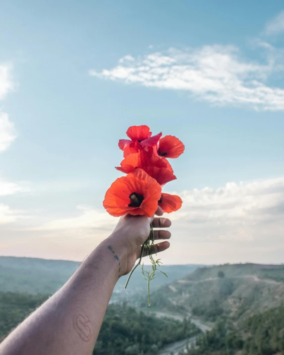 hand holding a flower with blue sky in the background