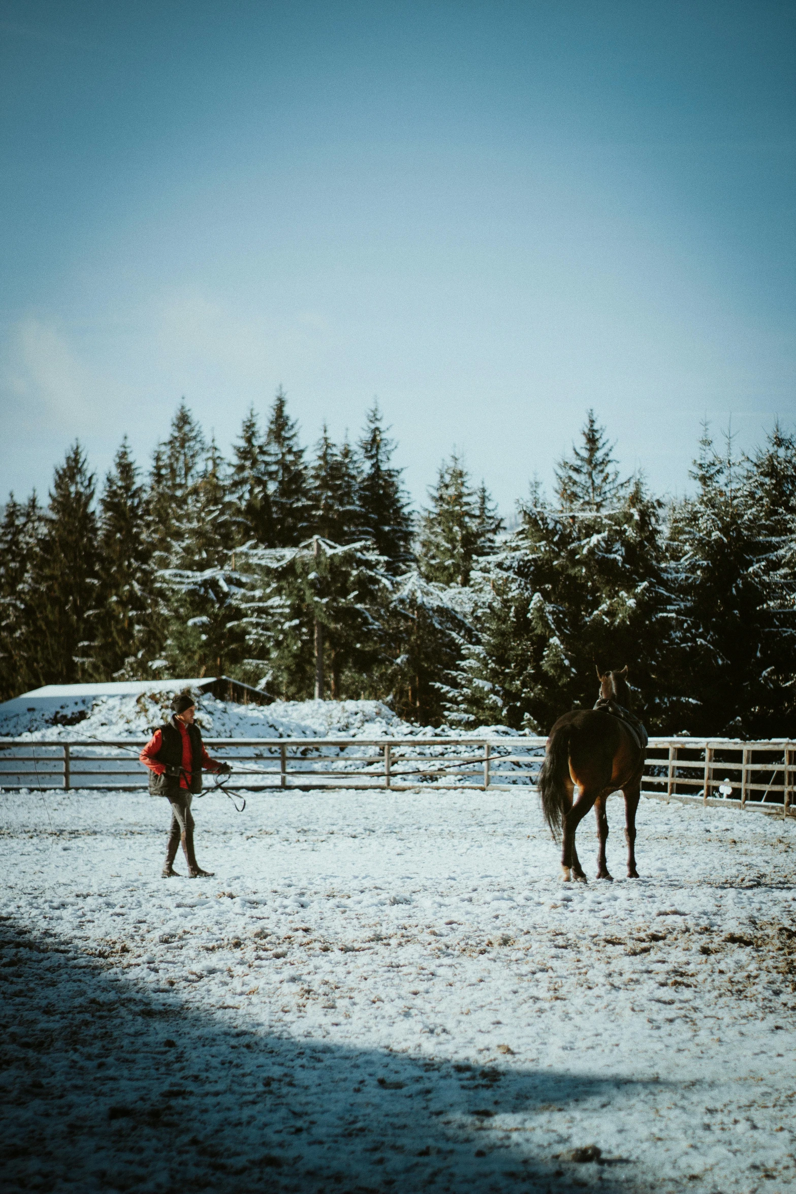 two people that are standing in the snow next to a horse