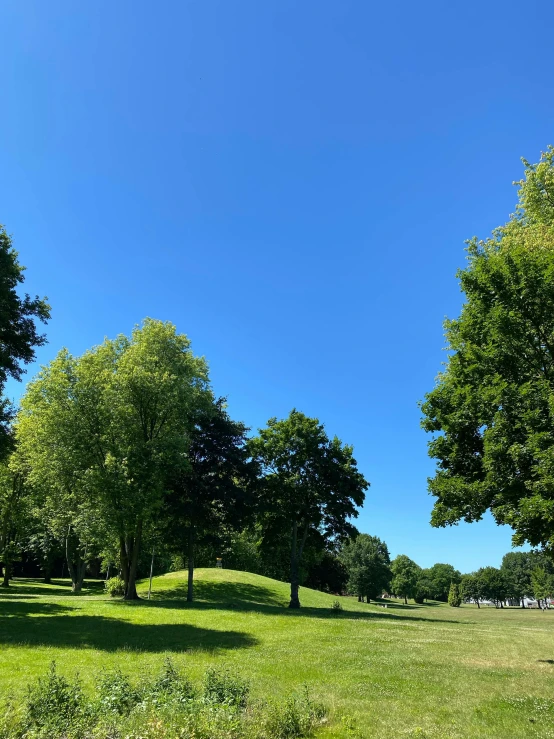 two park benches are on the grass near many trees