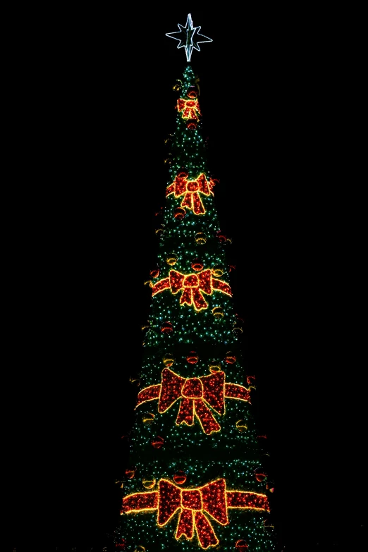 a lit christmas tree with bowes on it