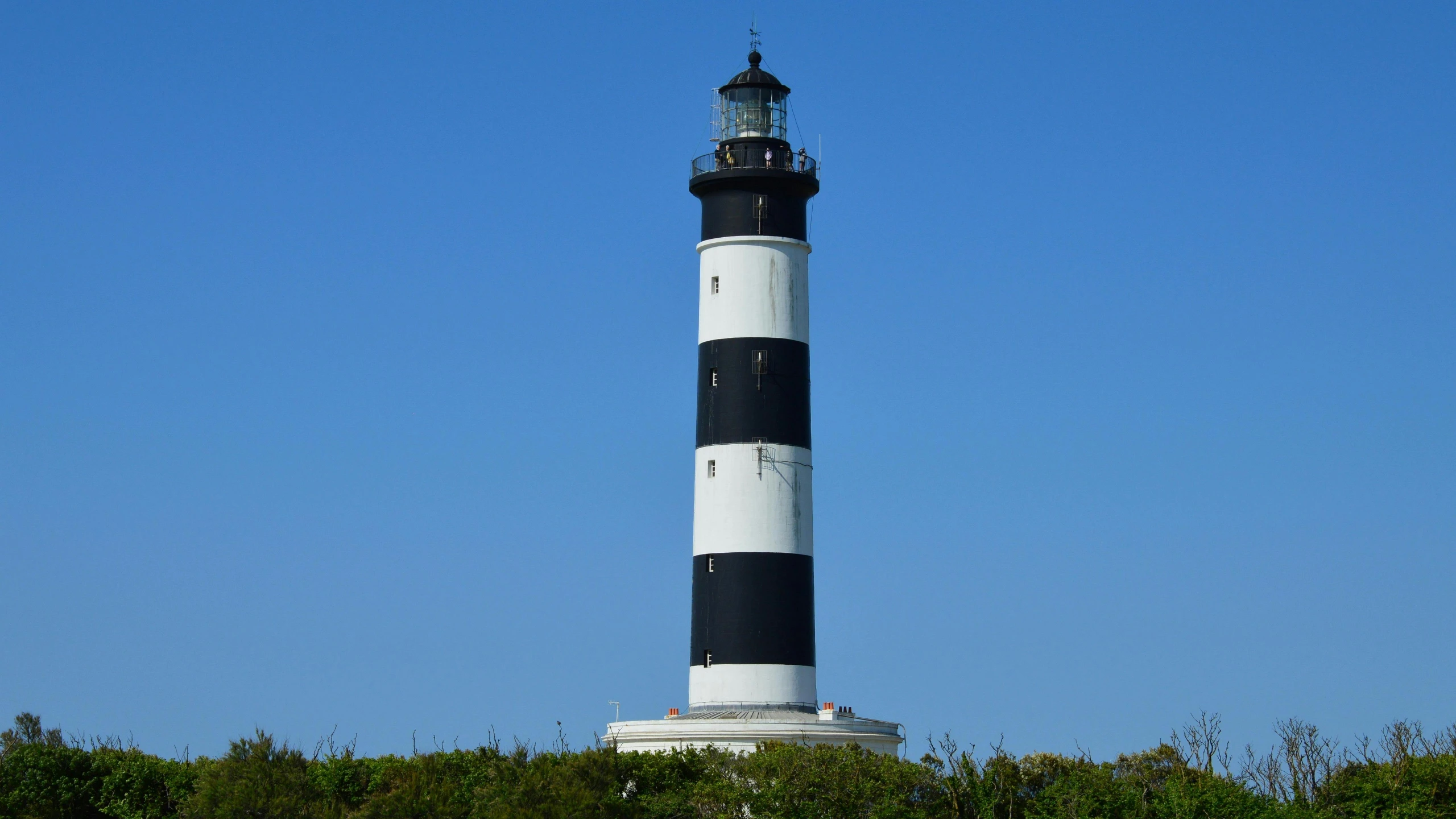 black and white lighthouse on top of the trees in front of a clear blue sky