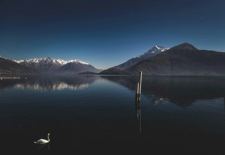 the white swan is on the water surrounded by mountains