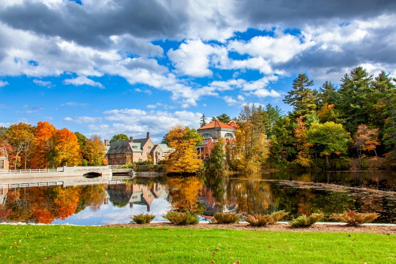 a bridge and the trees on the other side of the lake