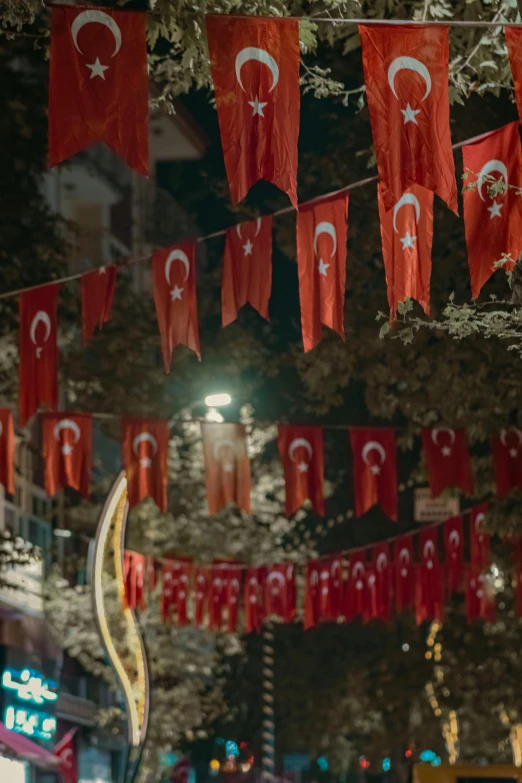 several turkish flags hang below a tree and hanging on ropes