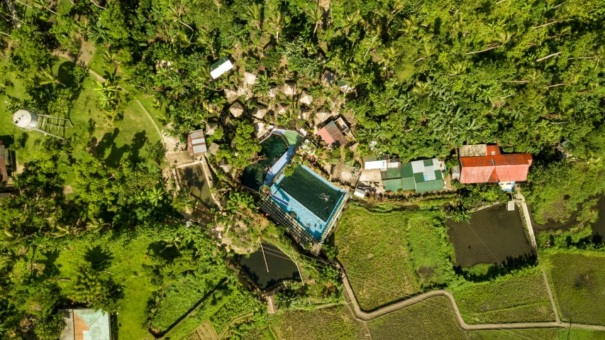 an aerial s of houses in the jungle