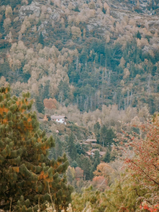 view of mountains and homes, surrounded by trees