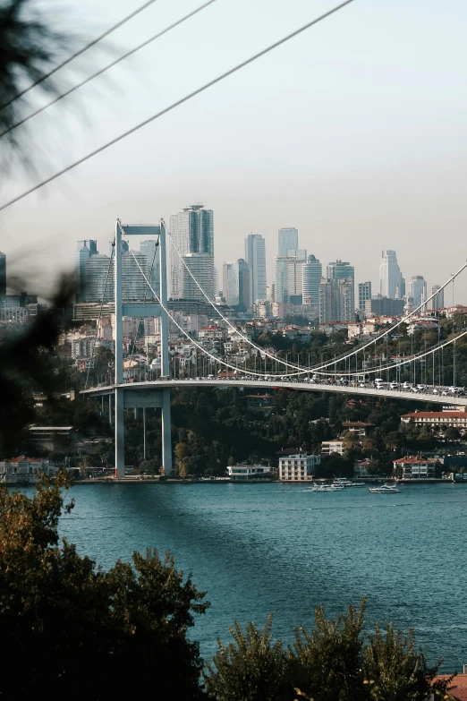 a bridge spanning a city with a big lake