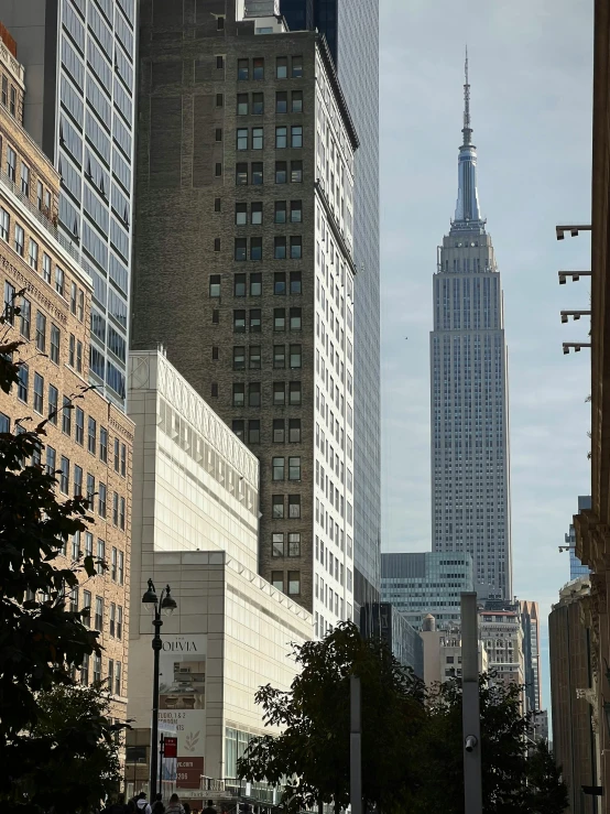 tall buildings in the city with trees along a street