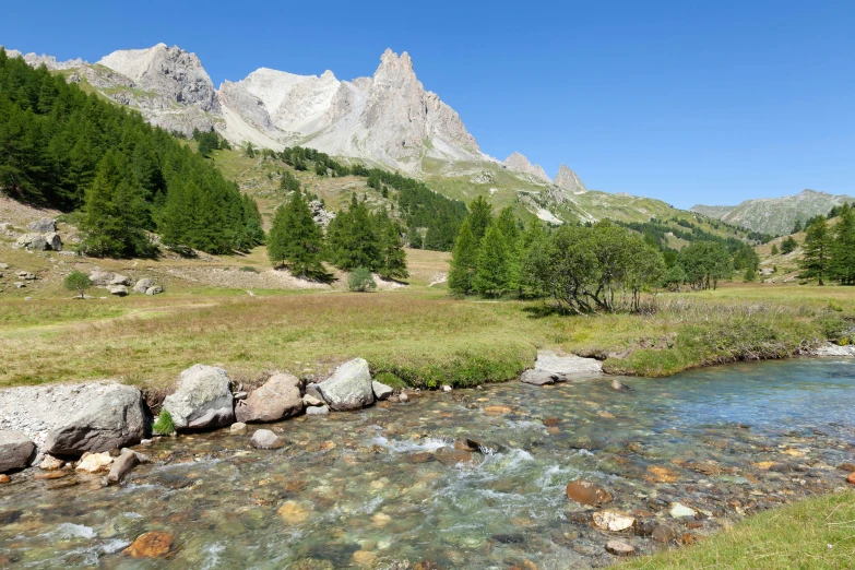 a stream flowing down a lush green hillside