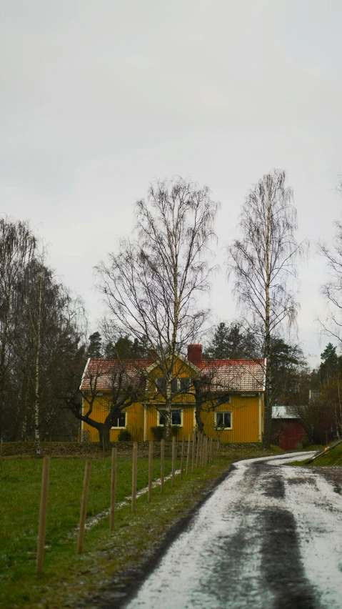 a yellow house sits behind a row of trees on the other side of a road