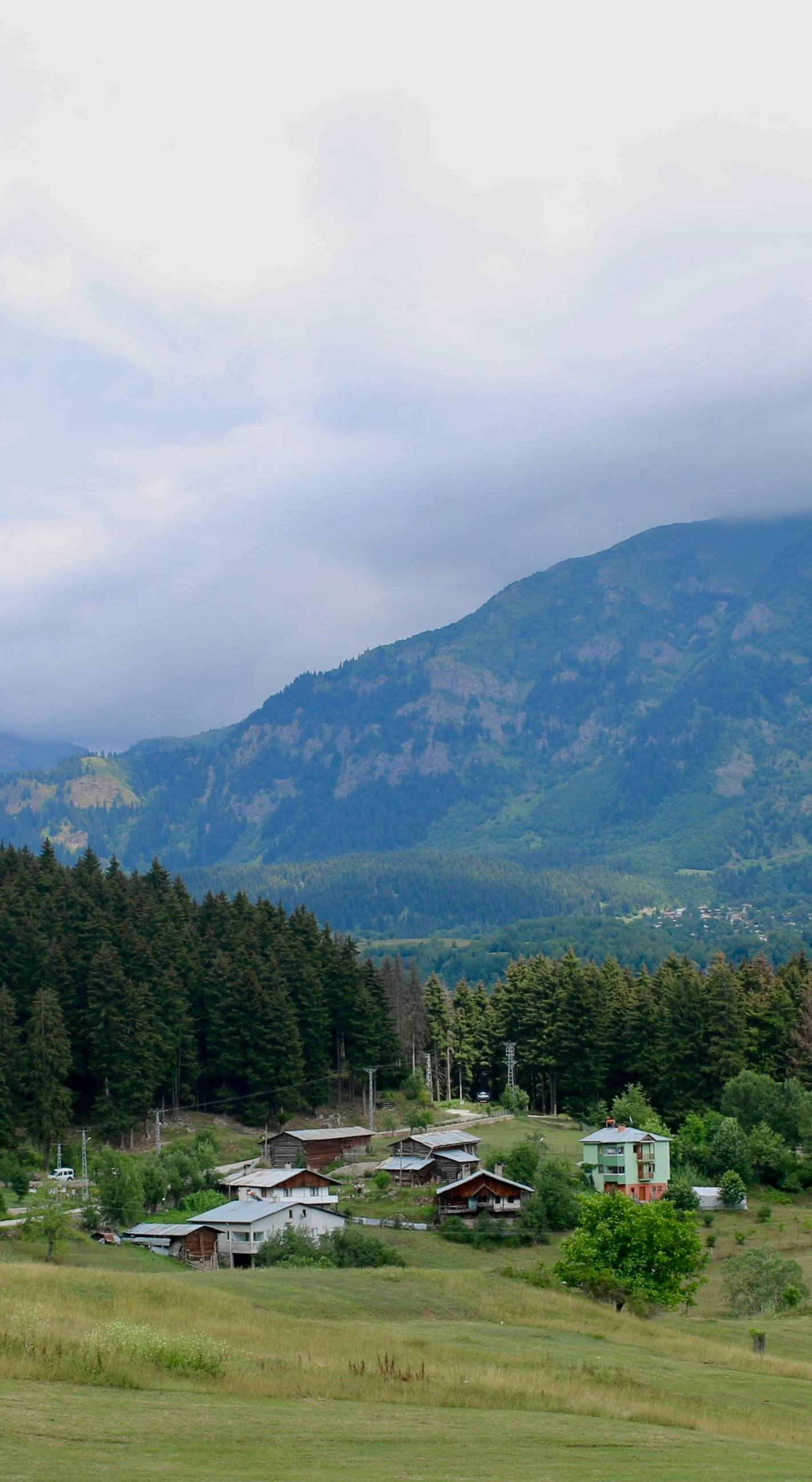 a landscape view of several houses and trees