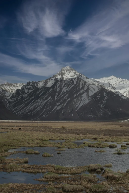 a grassy field and mountains with some water