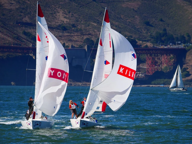 two sailboats sail in the blue water