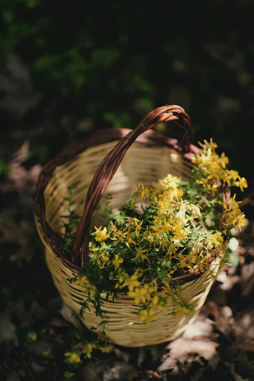 a basket full of flowers sitting on the ground