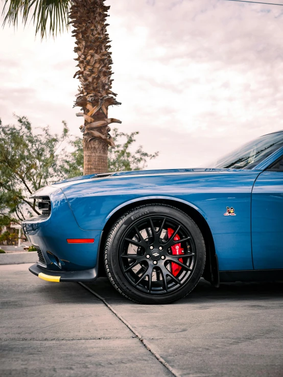 a blue car parked in front of a palm tree