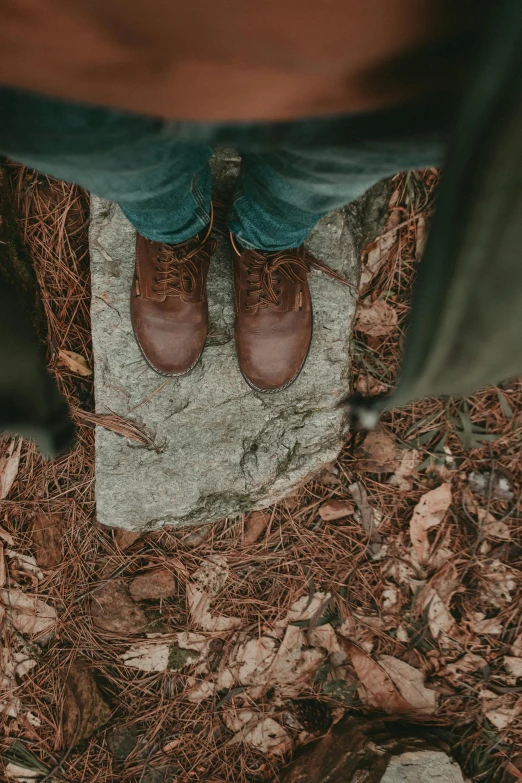 a person in some brown shoes and a leafy ground