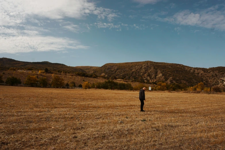 a person in a field holding a kite