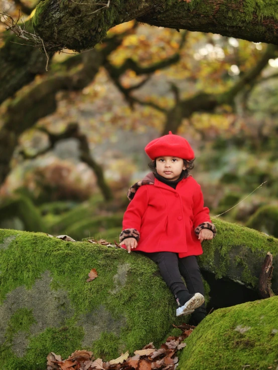 a  is sitting on a rock covered in moss