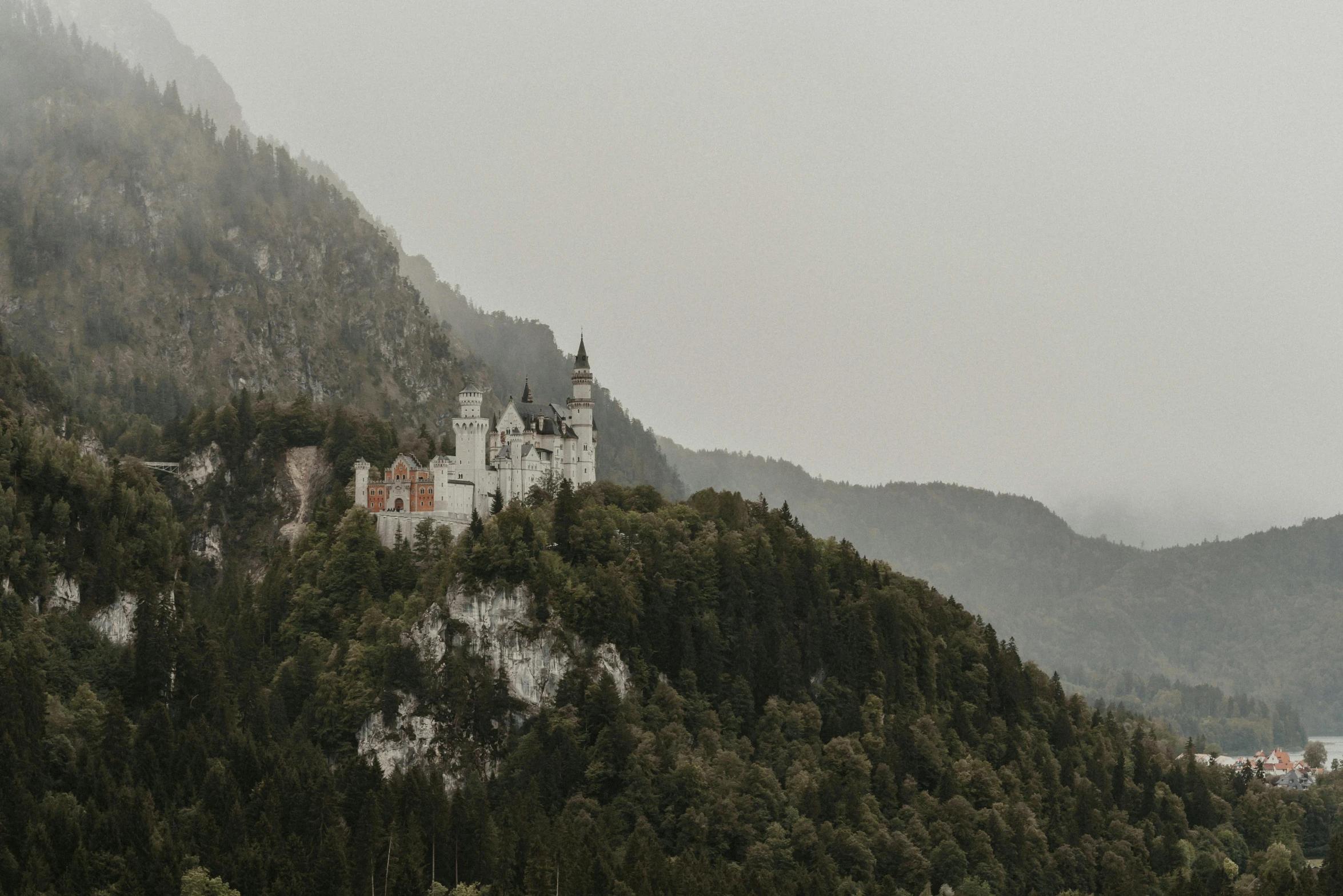 a mountain that has many trees on it