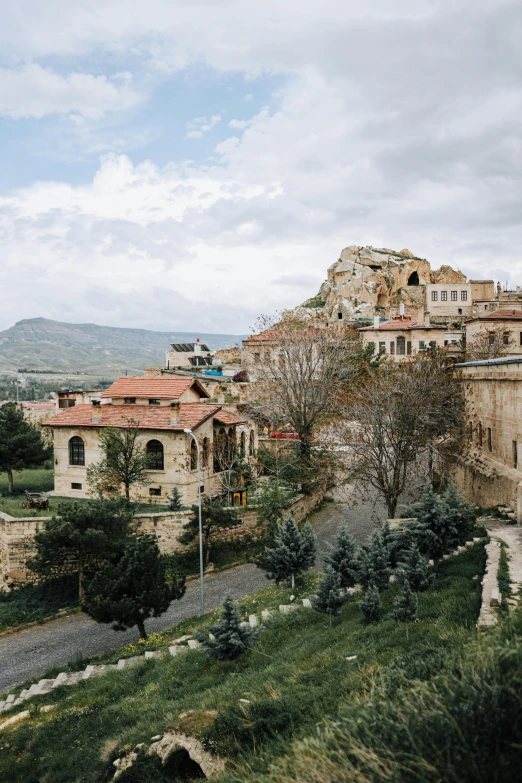 a hill with trees near some houses