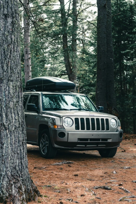 there is a silver jeep in the woods