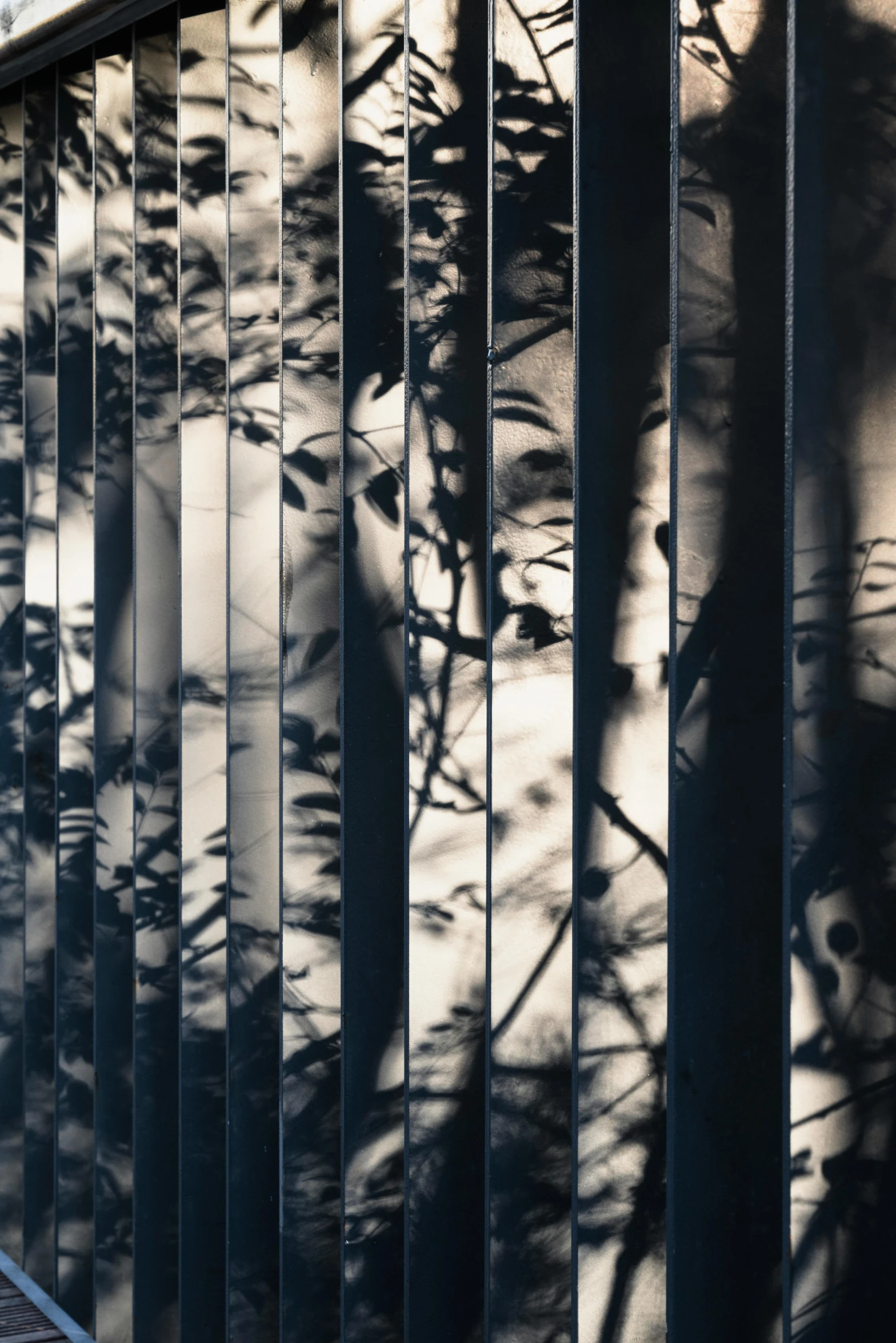 a shadow of trees on the side of a building