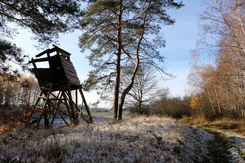 a wooden structure sitting under two trees