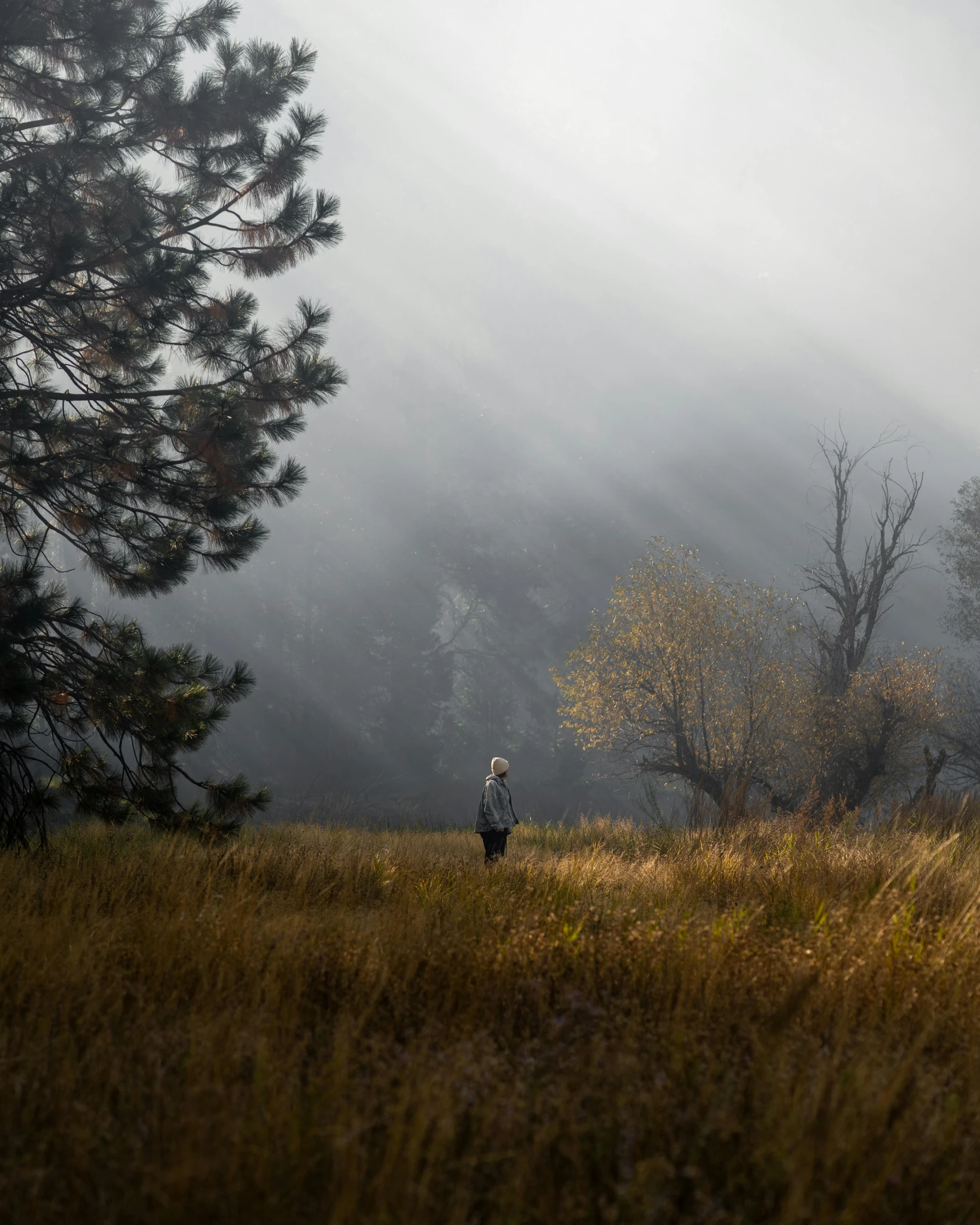 the lone man is walking alone in the field