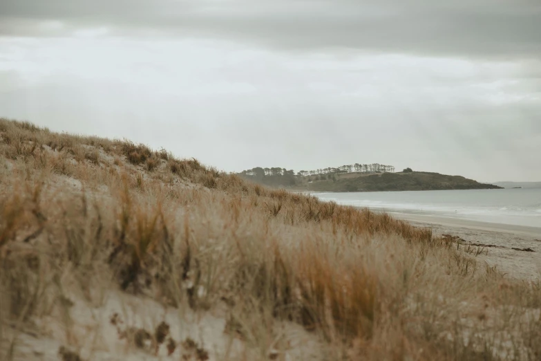 a grassy hill sits at the edge of an ocean beach