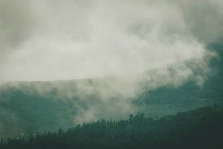 a dark forest under cloudy skies with smoke