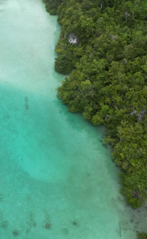 a blue river with clear water next to green forest