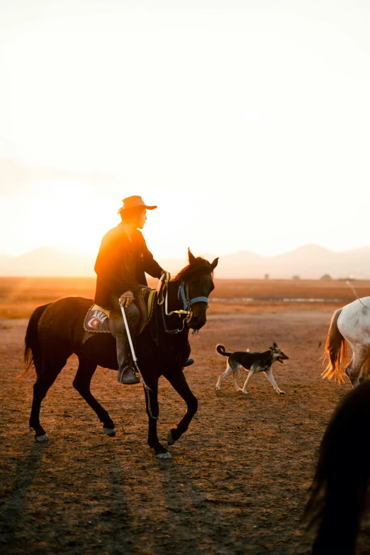 a person riding on the back of a horse in the middle of three other horses